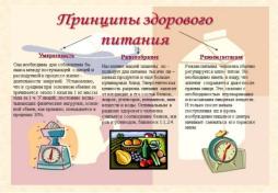 Принципы здорового питания